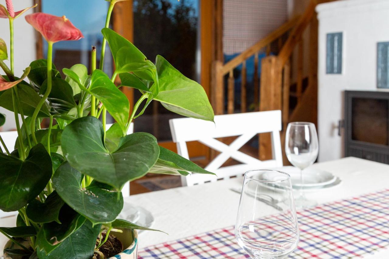 Casele Cu Stuf B&B Haus Ulrike Sălicea Exterior foto