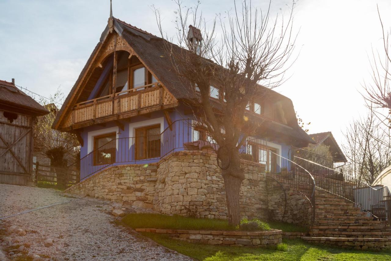 Casele Cu Stuf B&B Haus Ulrike Sălicea Exterior foto