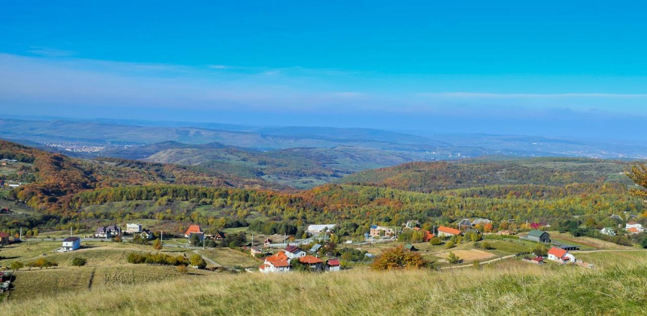 Casele Cu Stuf B&B Haus Ulrike Sălicea Exterior foto