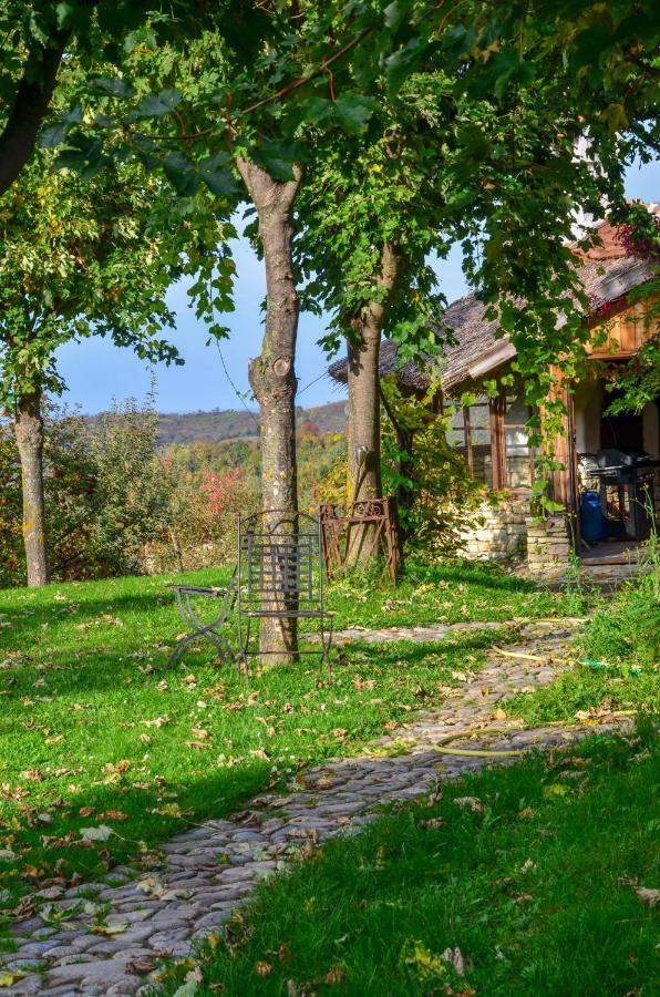 Casele Cu Stuf B&B Haus Ulrike Sălicea Exterior foto